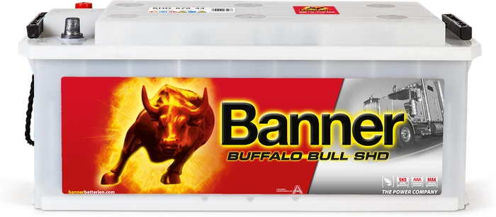 Banner Buffalo Bull SHD 67033
