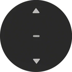 Berker R.1/R.3 Jalousie-Taste, schwarz