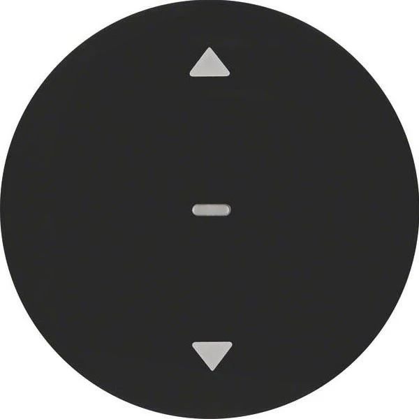 Berker R.1/R.3 Jalousie-Taste, schwarz