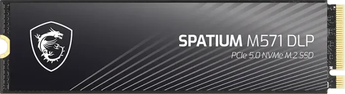 MSI Spatium M571 DLP 2TB, M.2 2280 / M-Key / PCIe 5.0 x4