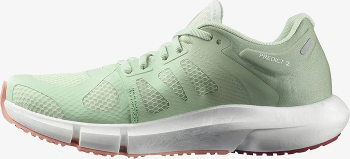 Salomon Predict 2 spray/granite green/blooming dahlia (Damen)