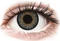 Alcon FreshLook One-Day Color Vorschaubild