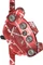 SRAM Maven Ultimate Expert Kit VR+HR Scheibenbremsenset clear anodized/red splash Vorschaubild