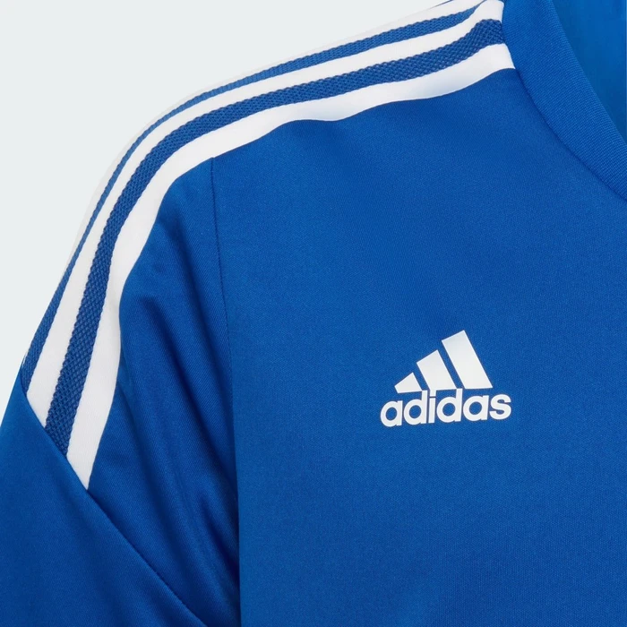 adidas Condivo 22 Trikot kurzarm royal blue/white (Junior)