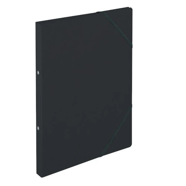 Herlitz Ringbuch 2-Ring Colorspan, 25mm, A4, schwarz