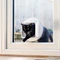 Sure Petcare SureFlap Connect Microchip Katzenklappe, Bundle mit Connect Hub, weiß Vorschaubild