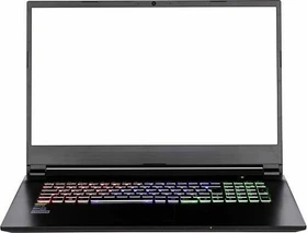 Nexoc G1743, Core i7-9750H, 64GB RAM, 500GB SSD, 1TB HDD, GeForce GTX 1660 Ti, DE (50755)