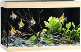 Juwel Rio 290 LED Aquarium-Set mit Unterschrank, braun/braun, 290l