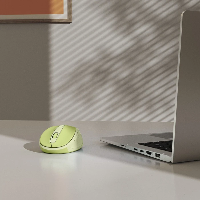Hama WM-400 Silent Wireless 6-Button Mouse grün/hellgrün, USB