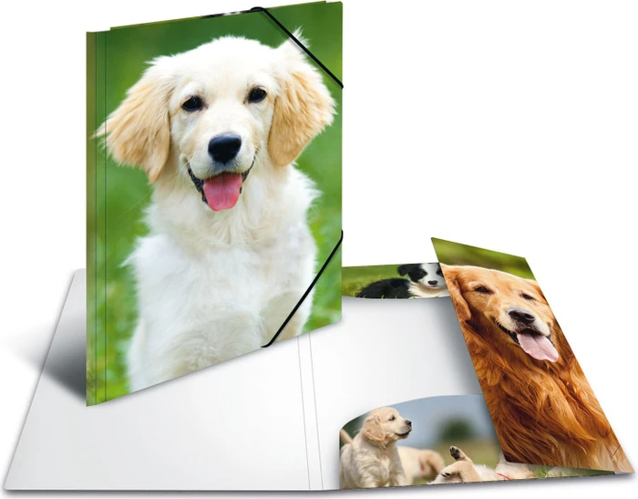 Herma Sammelmappe, A4, Tiermotiv Hunde, 3er-Pack