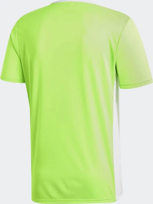 adidas Entrada 18 Trikot kurzarm solar green/white (Herren)
