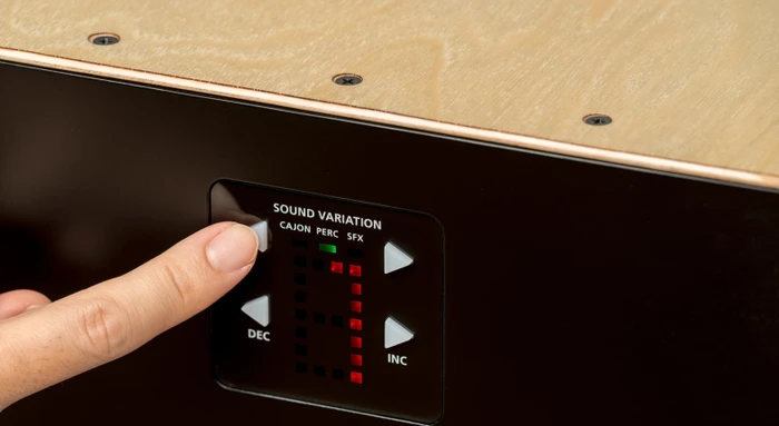 Roland ELCajon (EC-10) – Bild 6
