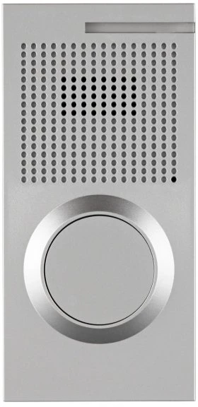 REV Ritter Link2Home WiFi Audio Türsprechanlage AD1 silber, Türsprechanlage