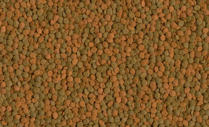 Tetra Wafer Mix Hauptfutter für Bodenfische und Krebse, 48g, 100ml