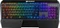 Cougar Attack X3 RGB Speedy, MX SPEED RGB Silver, USB, DE Vorschaubild