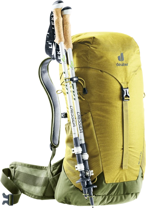 Deuter AC Lite 24 turmeric/khaki