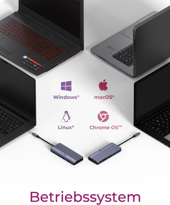 RaidSonic Icy Box IB-DK4062-CPD Travel Dock 12-in-1, USB-C 3.0 [Stecker]