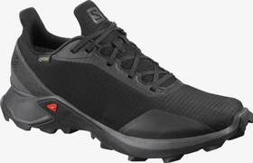 Salomon Alphacross GTX black/ebony (Herren)