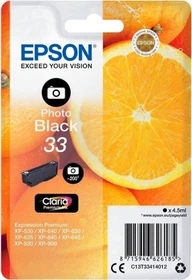Epson Tinte 33 schwarz photo