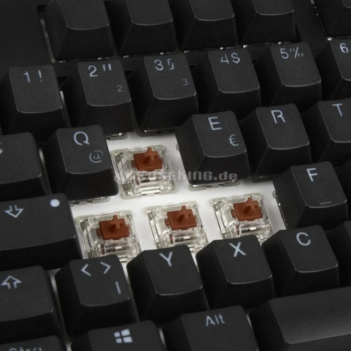 Ducky One TKL PBT schwarz, LEDs RGB, MX RGB BROWN, USB, DE