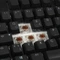 Ducky One TKL PBT schwarz, LEDs RGB, MX RGB BROWN, USB, DE Vorschaubild