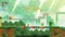Super Mario Bros. Wonder (Switch) Vorschaubild