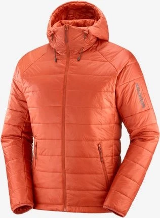 Salomon Outline Hooded Funktionsjacke bossa nova (Herren)