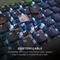 Turtle Beach Vulcan II, schwarz, LEDs RGB, TITAN II BROWN, USB, DE Vorschaubild