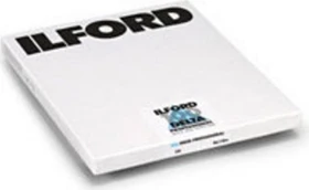 Ilford Delta 100 Professional 8x10" SW-Negativfilm