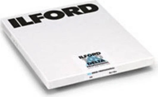 Ilford Delta 100 Professional 8x10" SW-Negativfilm
