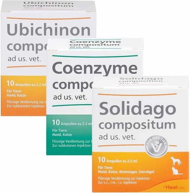 Heel SUC-Kombination Kombipackung ad us. vet. Ampullen, 30 Stück (3x 10 Stück)