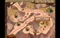 Der Kristall des Lebens: A Gnome's Home (Download) (PC) Vorschaubild