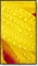 NEC MultiSync ME501 Message Essential, 50" Vorschaubild