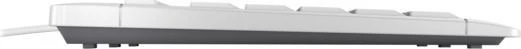 Cherry Stream Keyboard TKL-grau, weiß, USB, DE