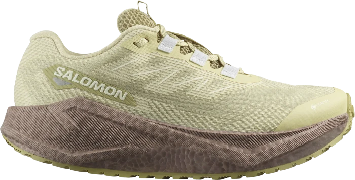 Salomon Aero Glide 3 GRVL GTX black/asphalt (Damen)