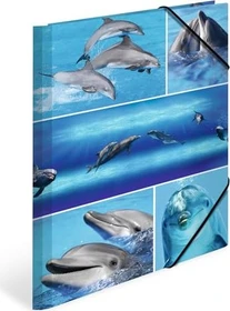 Herma Sammelmappe Karton, A4, Tiermotiv Delfine