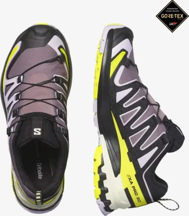 Salomon XA Pro 3D V9 GTX moonspace/orchid petal/sulphur spring (Damen)
