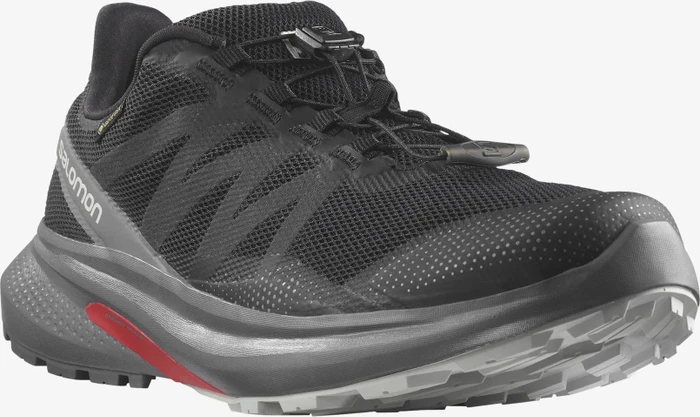 Salomon Hypulse GTX black/quiet shade/lunar rock (Herren)
