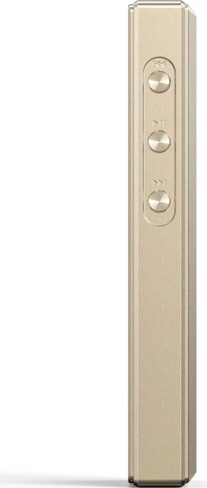 FiiO M21 titanium gold