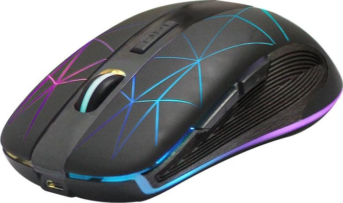 Riitek RM200 Wireless Mouse schwarz, USB