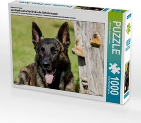 Calvendo Ein Motiv aus dem Kalender ausdrucksvolle Holländische Schäferhunde