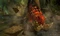 Monster Hunter 4 Ultimate (3DS) Vorschaubild