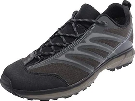 Hanwag Evorado Low GTX asphalt (Herren)