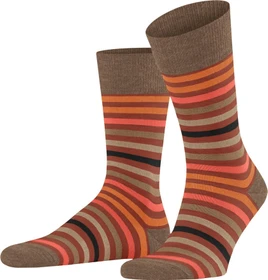 Falke Tinted Stripe Socken port royale (Herren)