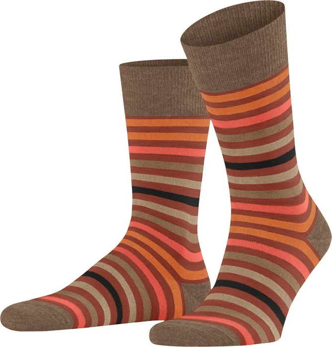Falke Tinted Stripe Socken port royale (Herren)