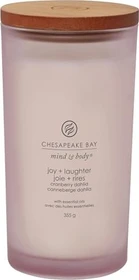 Chesapeake Bay Candle Joy + Laughter Cranberry Dahlia Duftkerze, 355g