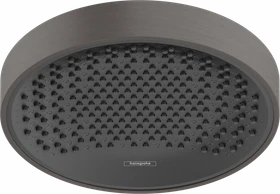 Hansgrohe Rainfinity 250 1jet EcoSmart Kopfbrause brushed black chrome