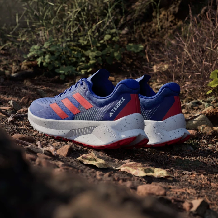 adidas Terrex Soulstride Flow dash grey/pure ruby/semi lucid blue (Herren)