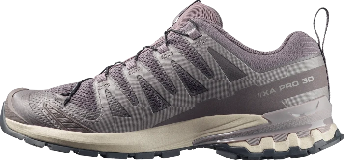 Salomon XA Pro 3D V9 dark gull gray/cloudburst/asphalt (Herren)