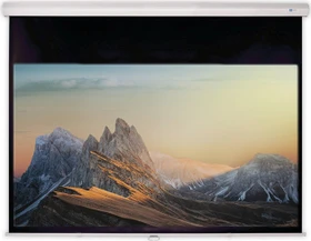 Deluxx Advanced Rolloleinwand Slowmotion 16:9 Mattweiss Polaro 170x95cm